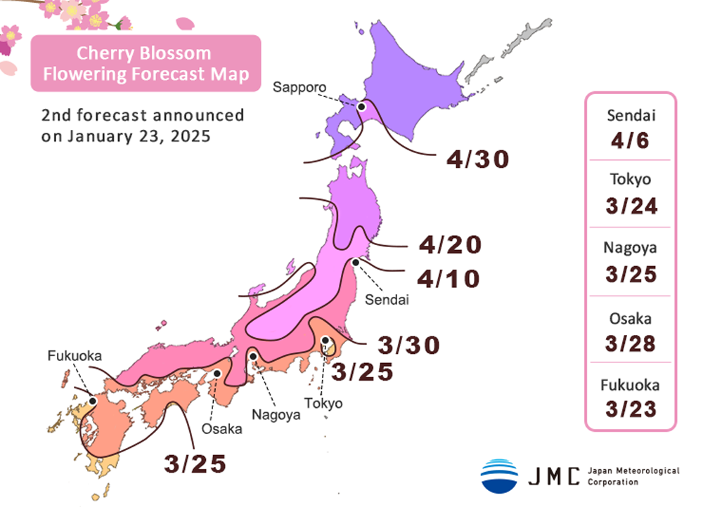 2025 Cherry Blossom Japan