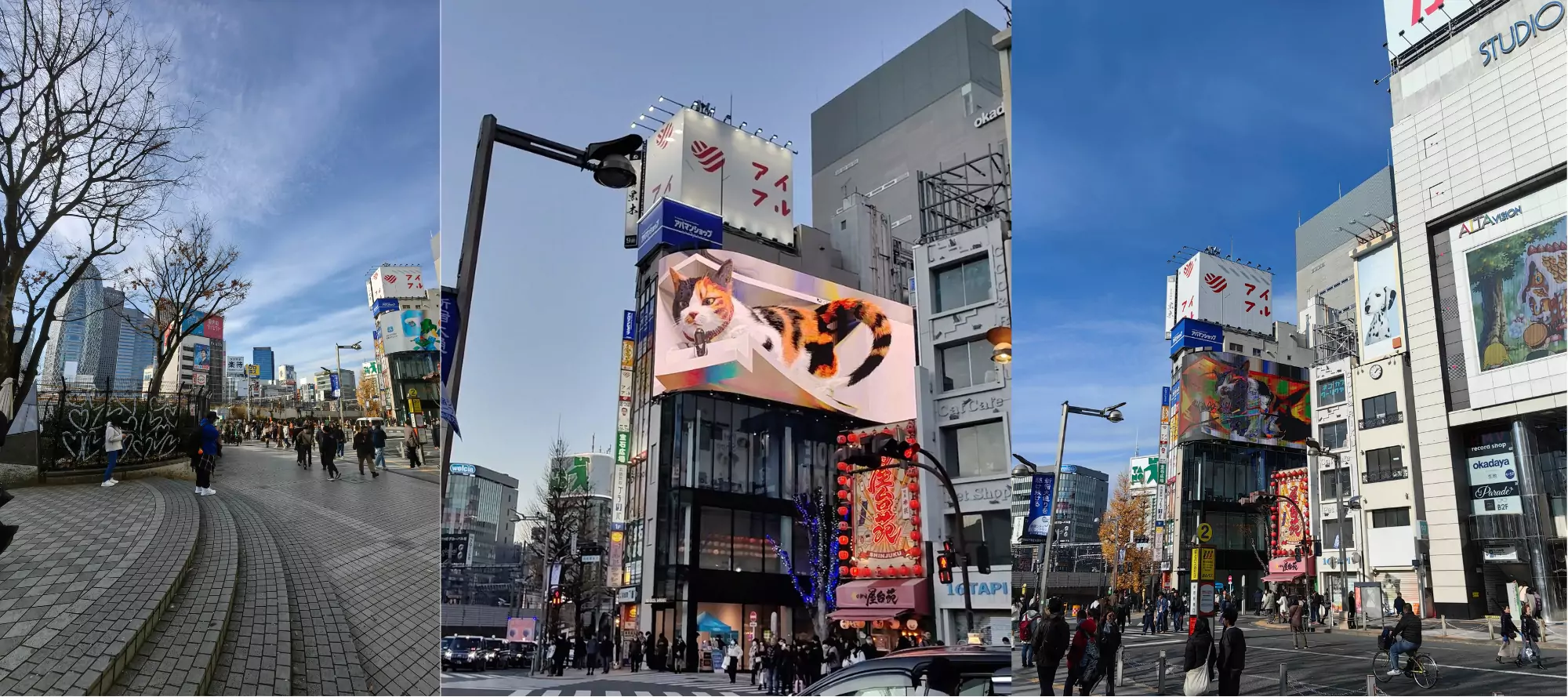 Shinjuku 3D Cat Billboard 2025 