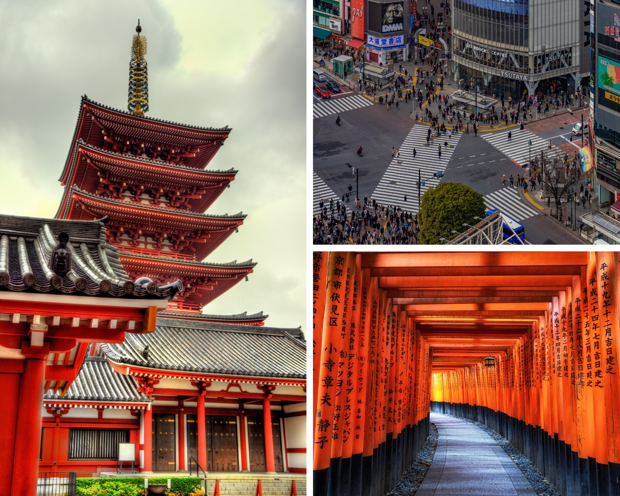 Unmissable Places Tokyo and kyoto