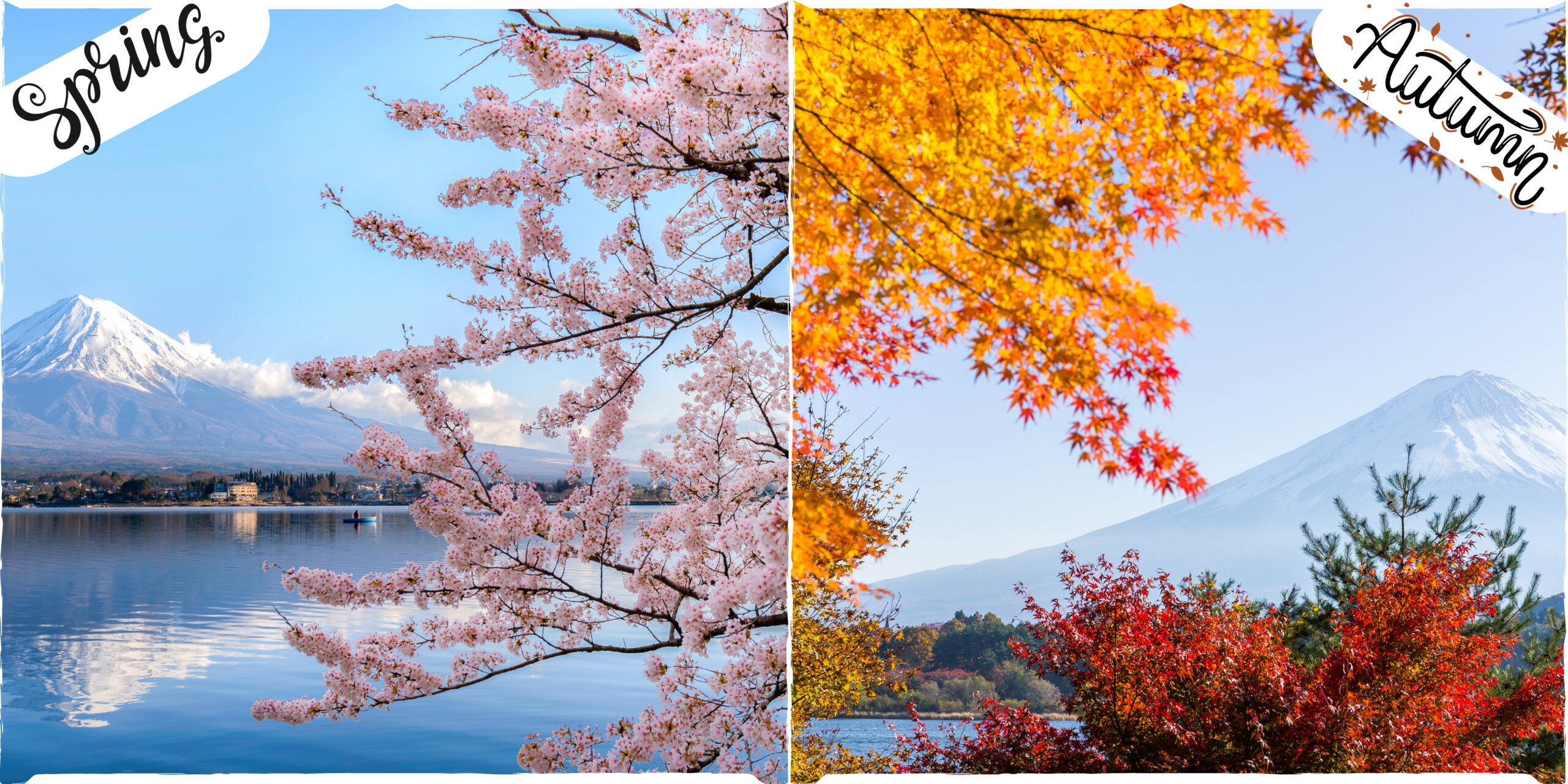 Breathtaking Views of Mount Fuji  guide 2025 to Yamanashi