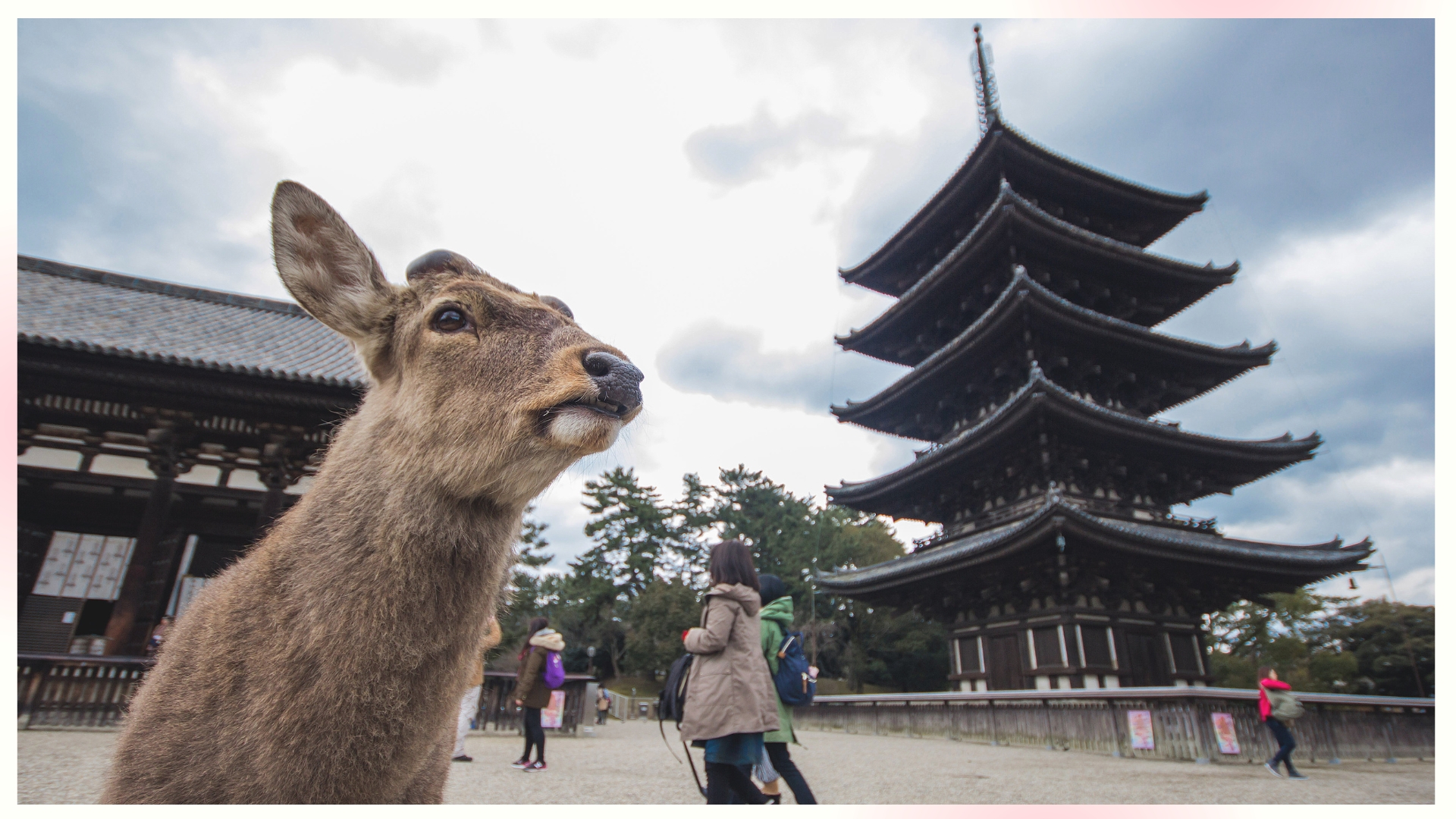 Horyu-ji Temple