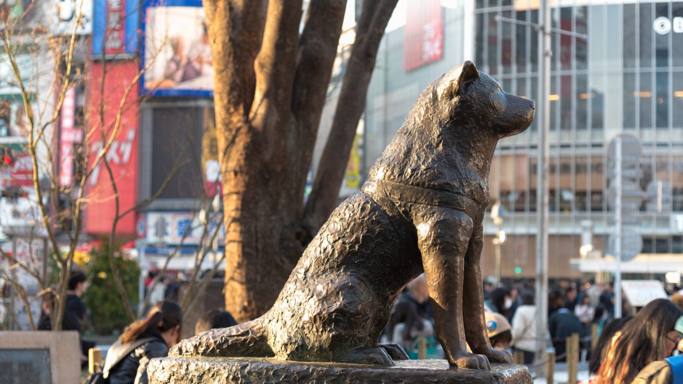 Hachikō Statue – A Symbol of Loyalty