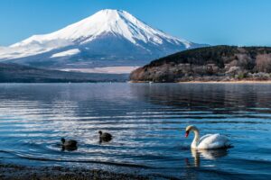 Lake Kawaguchi Yamanashi