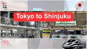 Tokyo to Shinjuku
