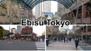 Ebisu Tokyo