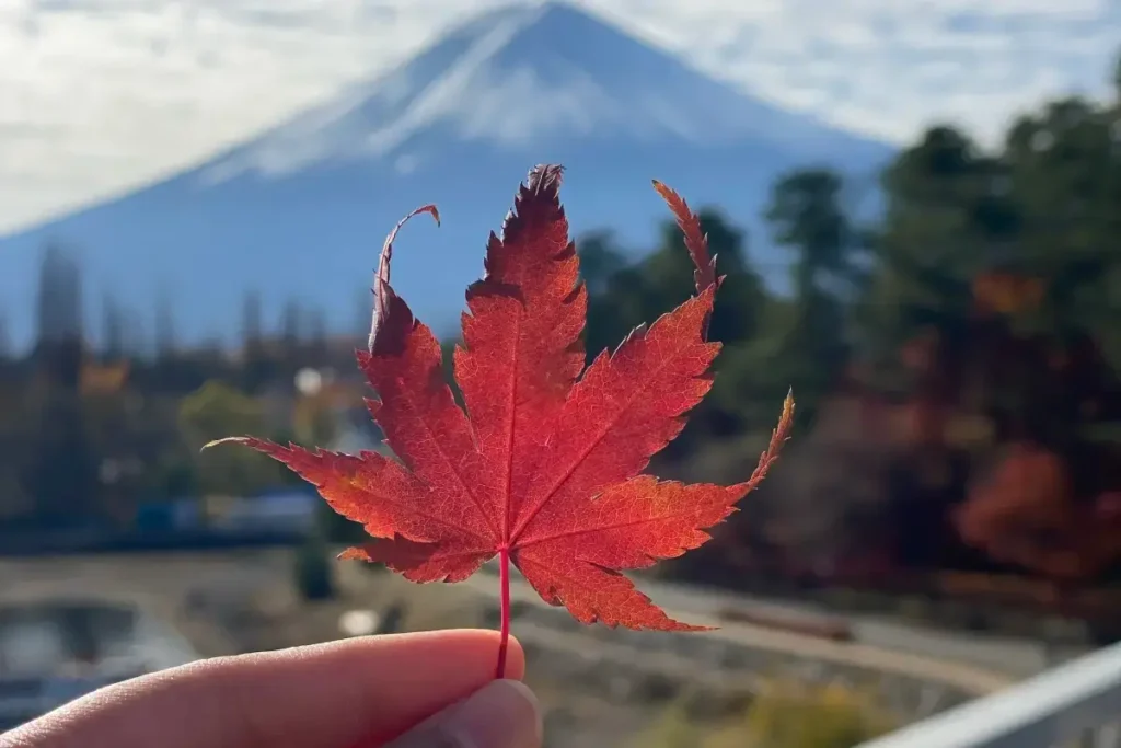 Tokyo Mont Fuji