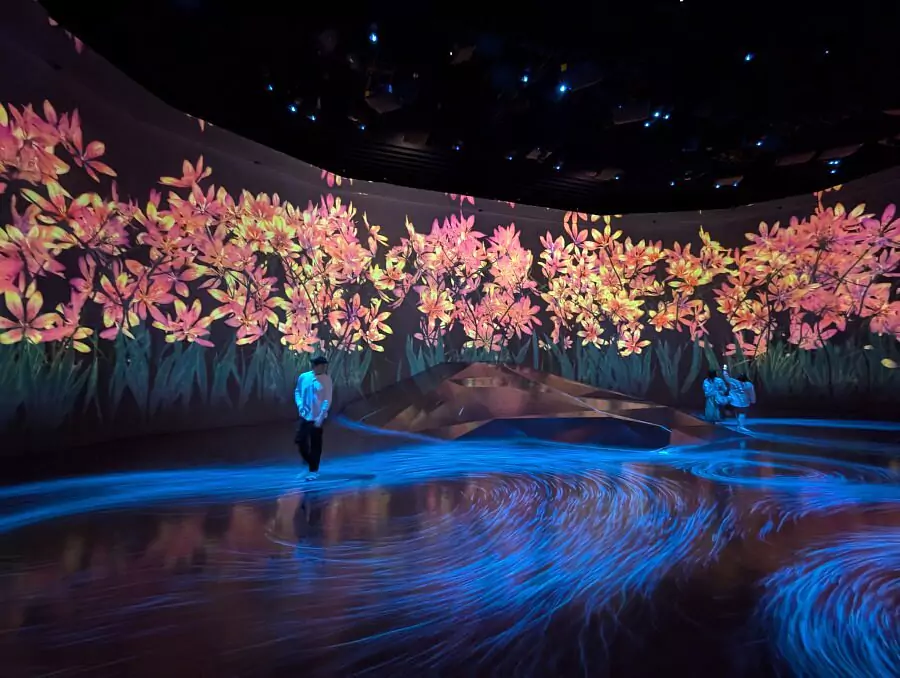 TeamLab Borderless