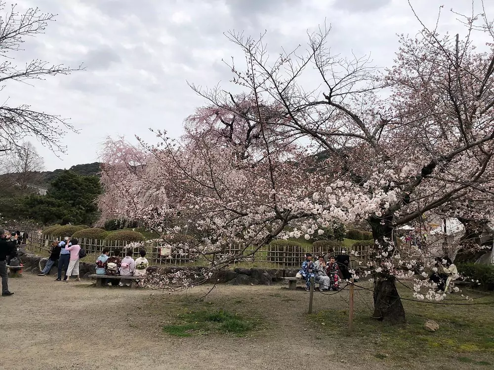kyoto japan