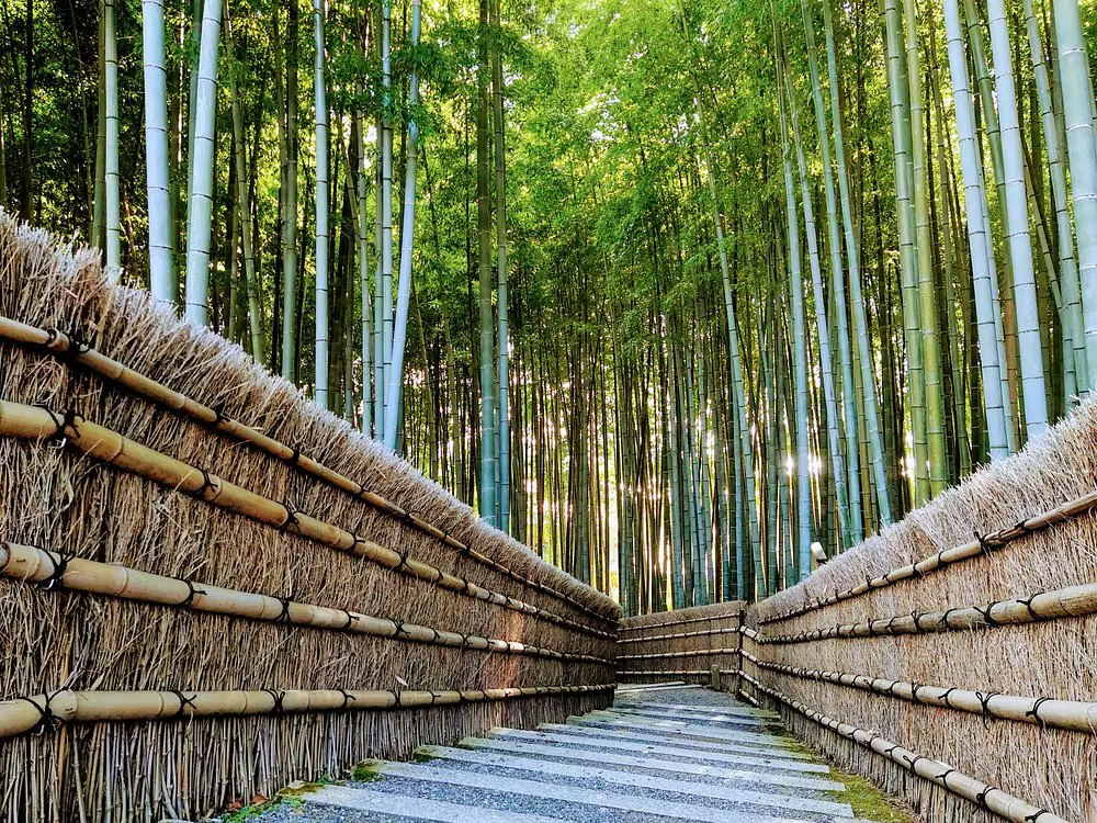 Adashino Temple