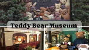 Teddy bear museum japan