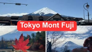 Tokyo Mont Fuji