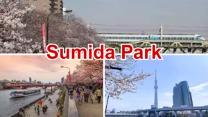 Sumida Park