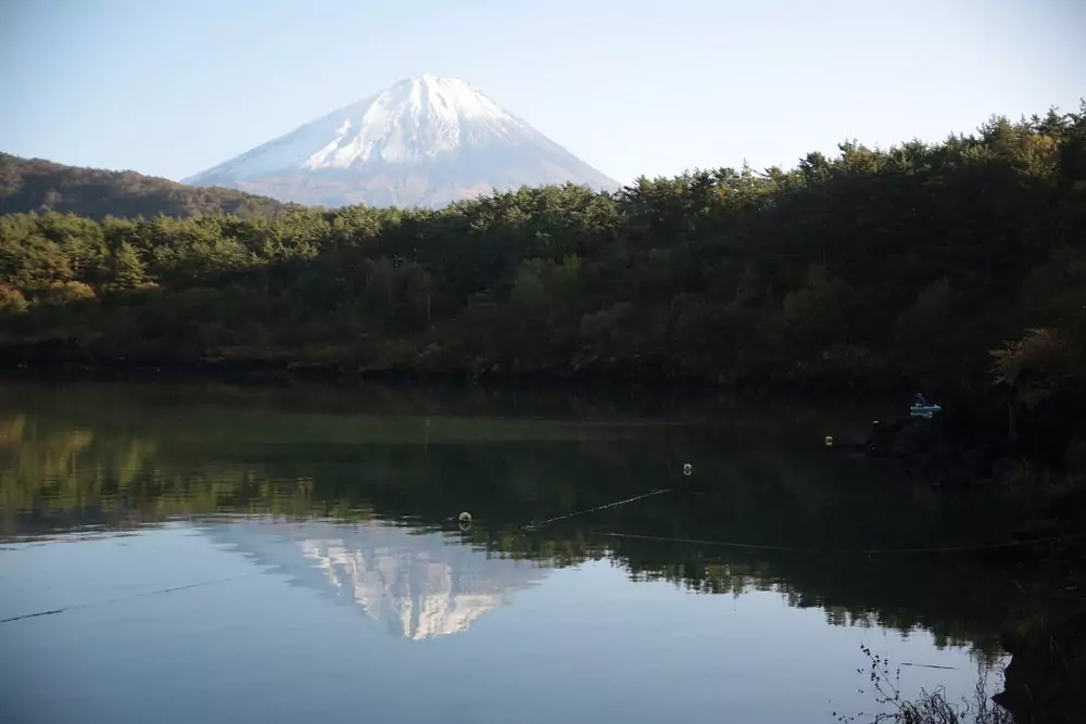 Aokigahara 