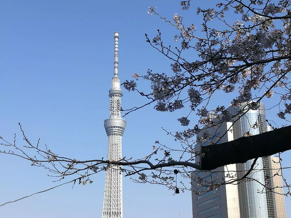 Sumida Park