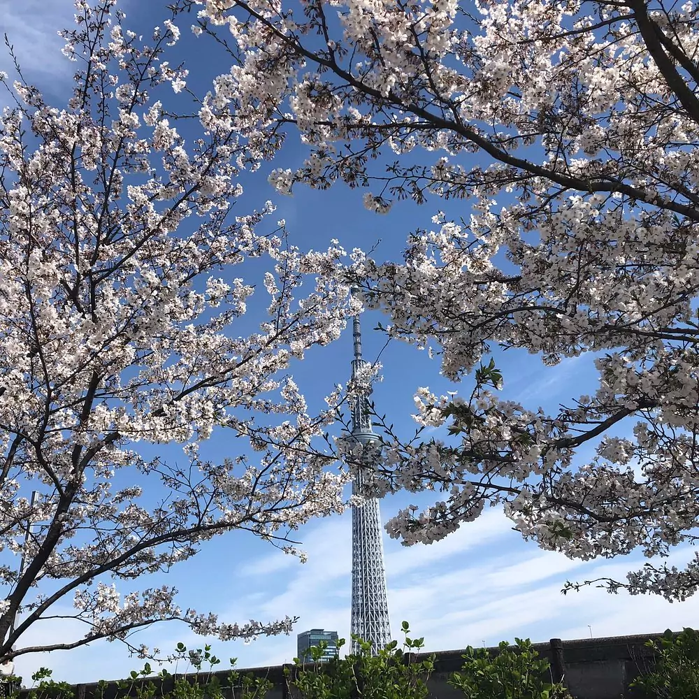 Sumida Park