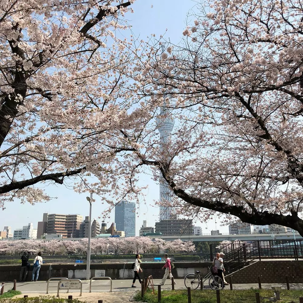 Sumida Park