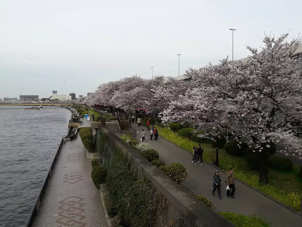 Sumida Park
