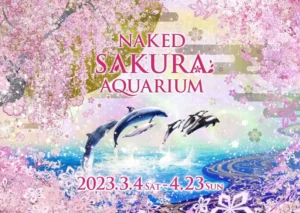 Naked Sakura Aquarium 2026