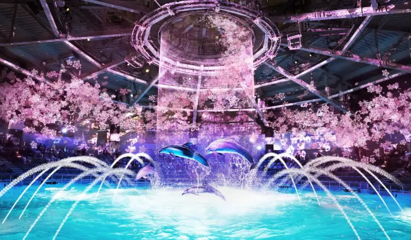 Naked Sakura Aquarium 2026