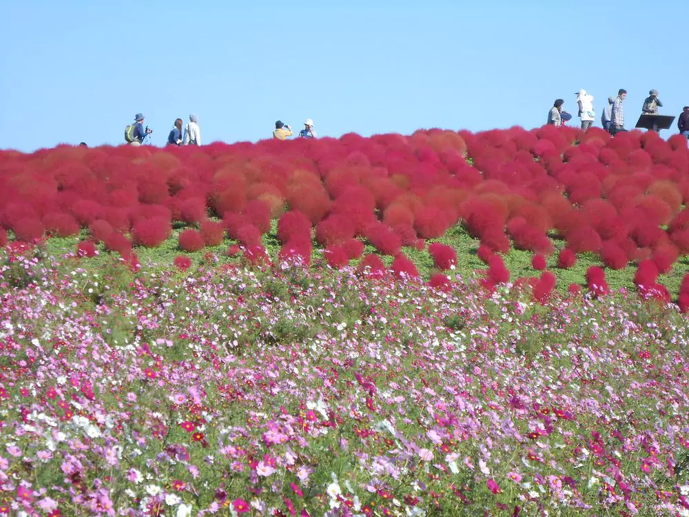 Japan in October