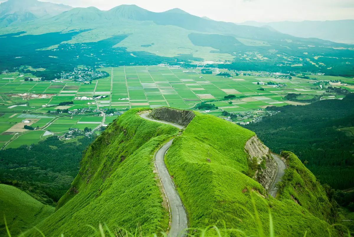 rice field in japanese