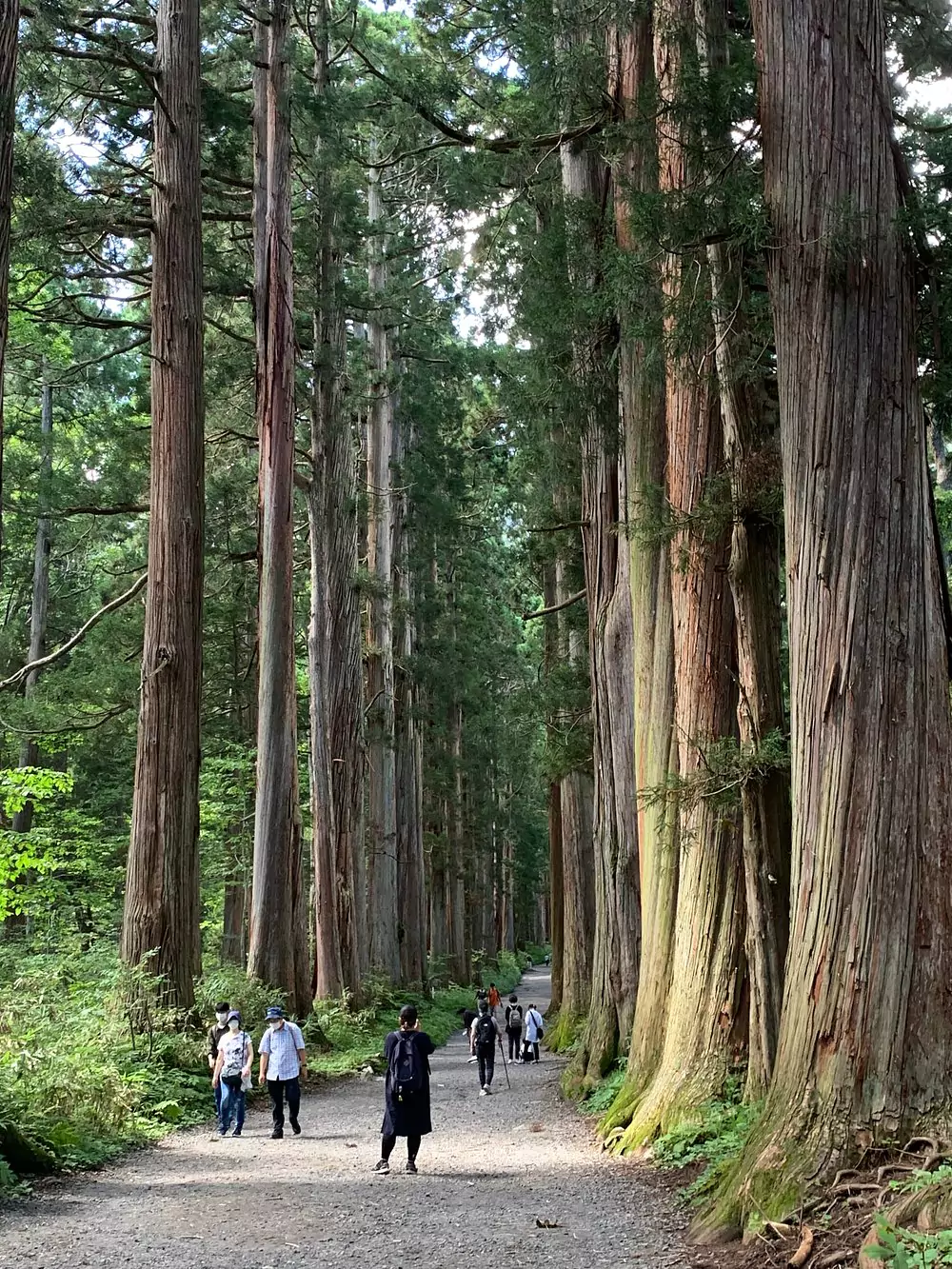 Japan in October