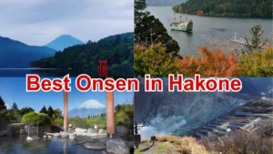 Best Onsen in Hakone