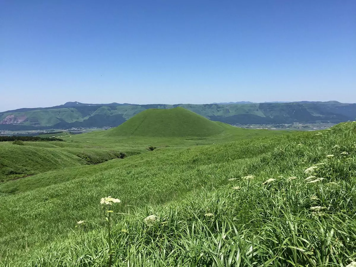 rice field in japanese