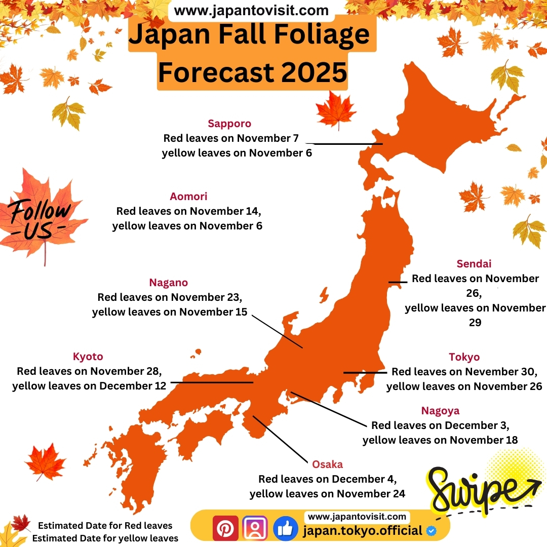 Tokyo autumn leaves 2025 
