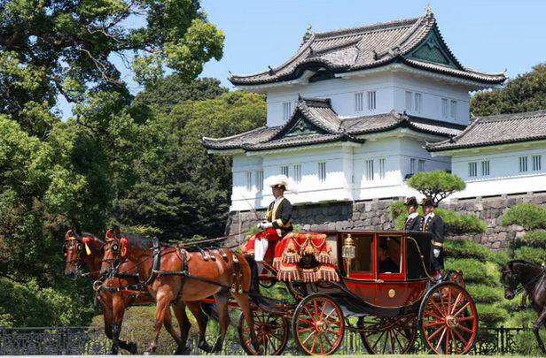 Prince Hisahito Coming of Age