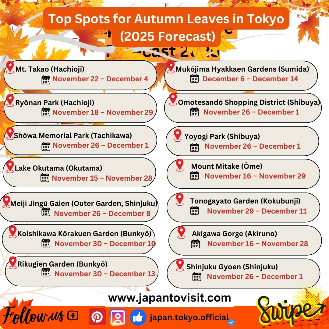 Tokyo autumn leaves 2025 