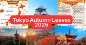 Tokyo autumn leaves 2025