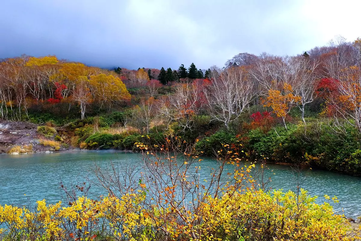 aomori