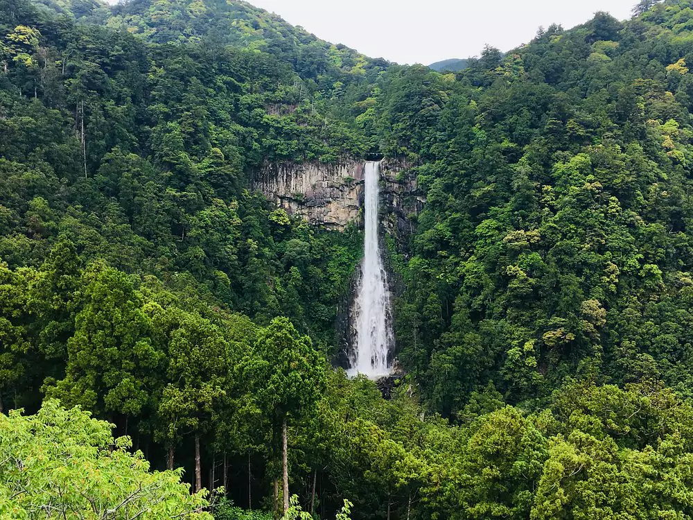 Kumano Kodo