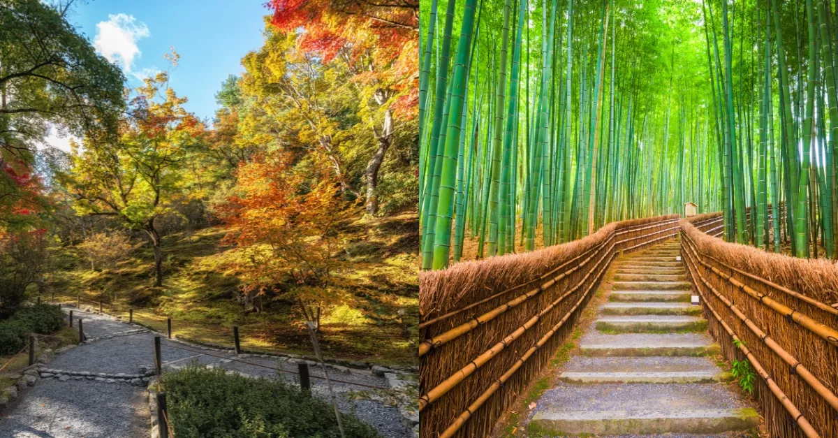 Japan 10 Day Itinerary Tokyo Kyoto Osaka
