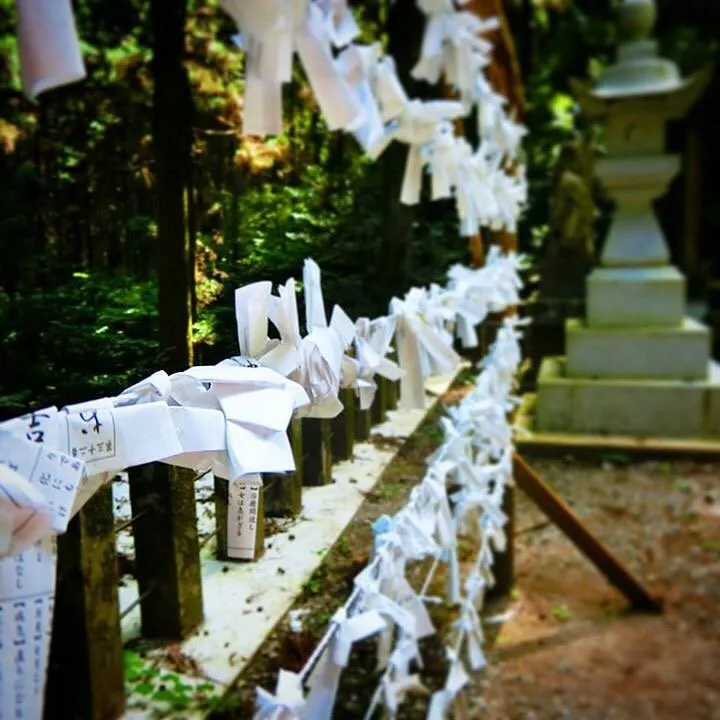 kamishikimi kumanoza shrine 