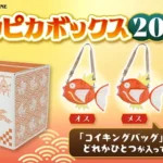 Pokémon Center Magikarp 2026 Lucky Box