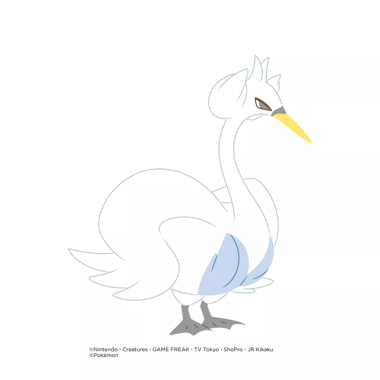 Chacott Pokémon Collection