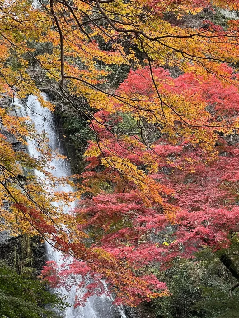 Osaka in Autumn
