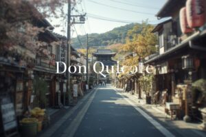 Don Quijote Japan