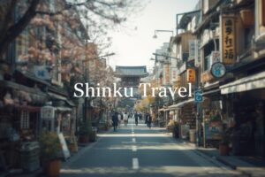 Shinjuku Travel