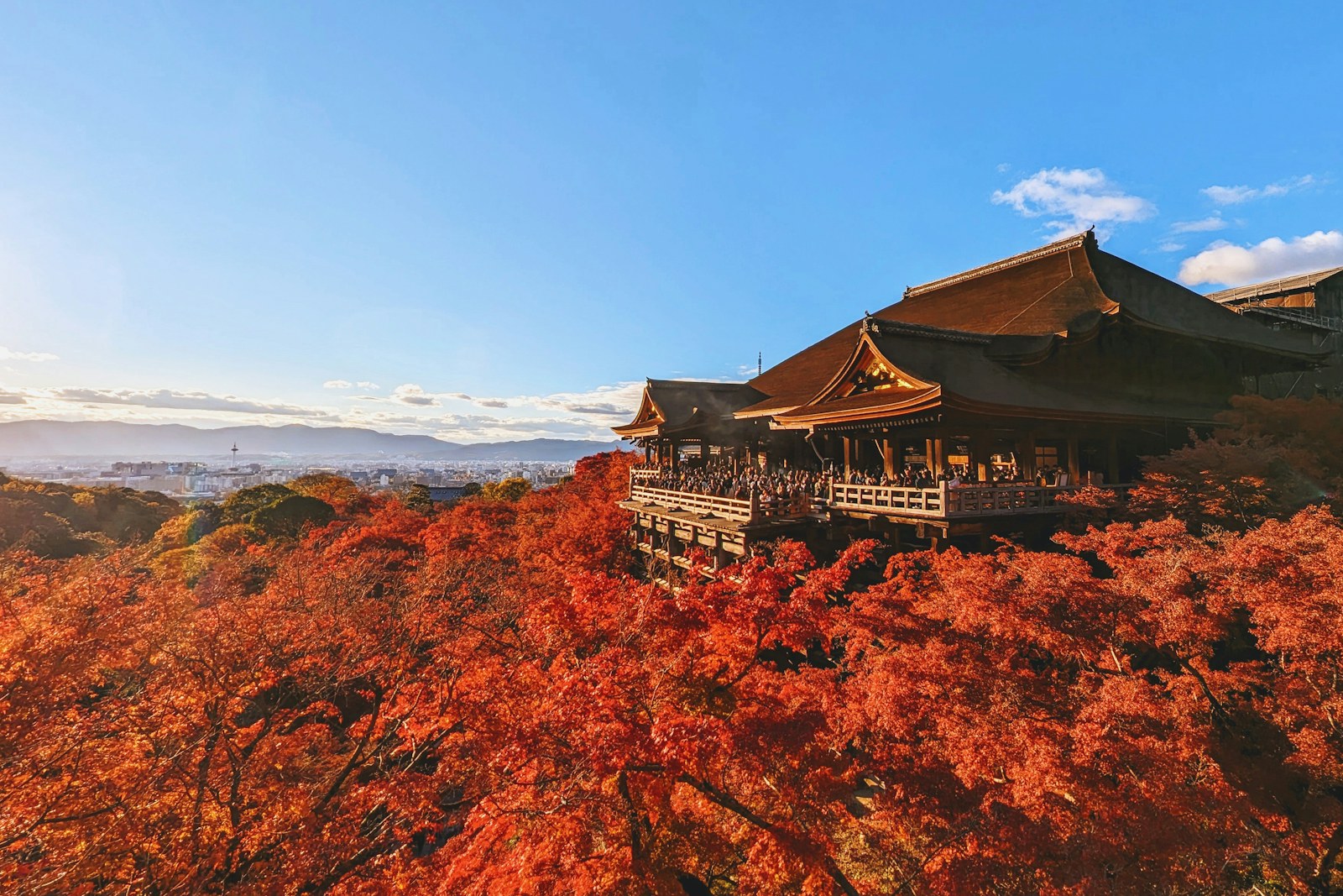 Kiyomizu-dera Temple in Kyoto surrounded by colorful autumn foliage