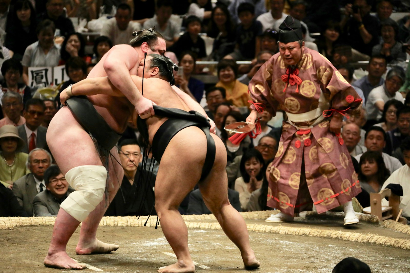 Sumo wrestlers in a tournament ring in Japan