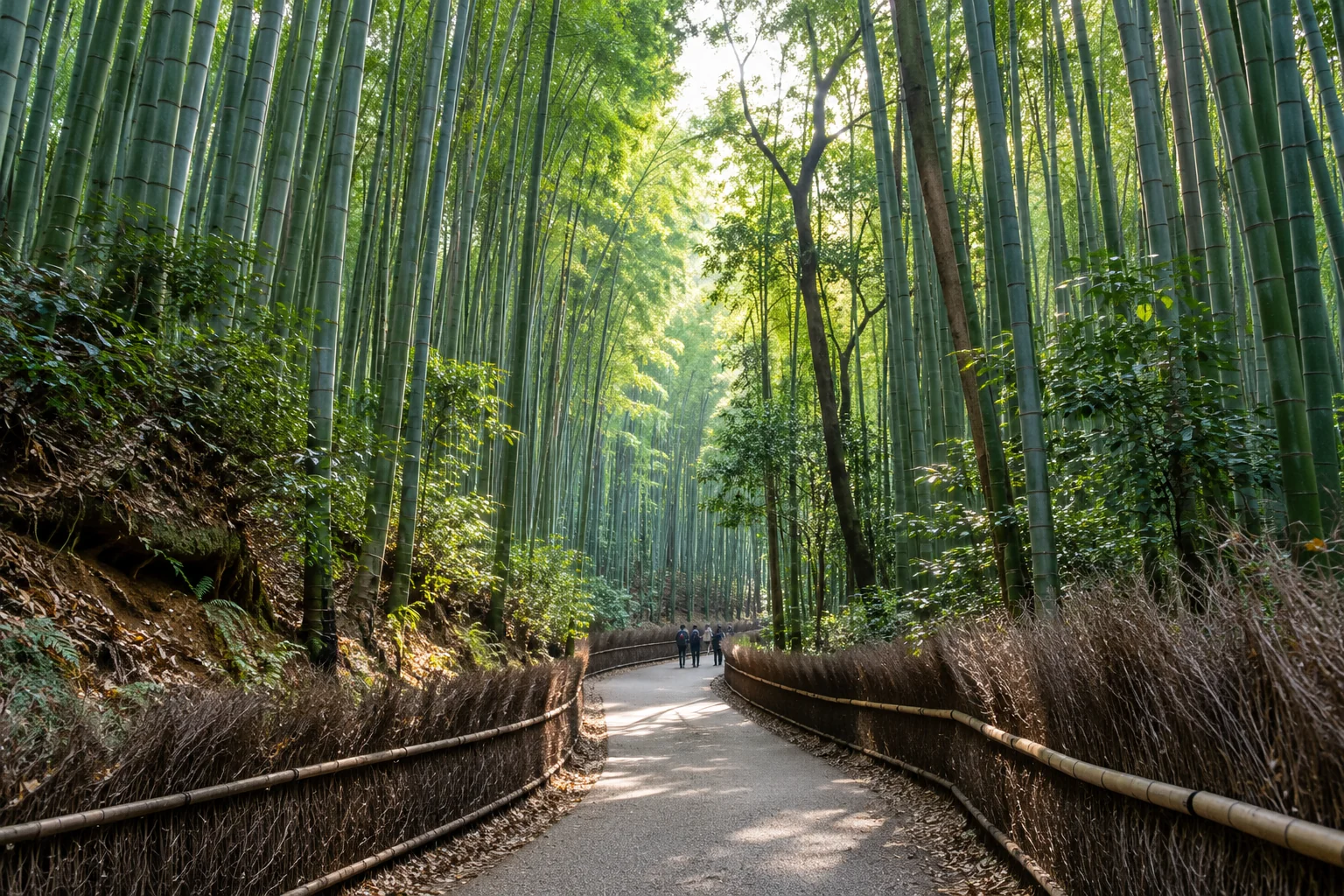 Bamboo-lined walking path in Kyoto's Arashiyama area